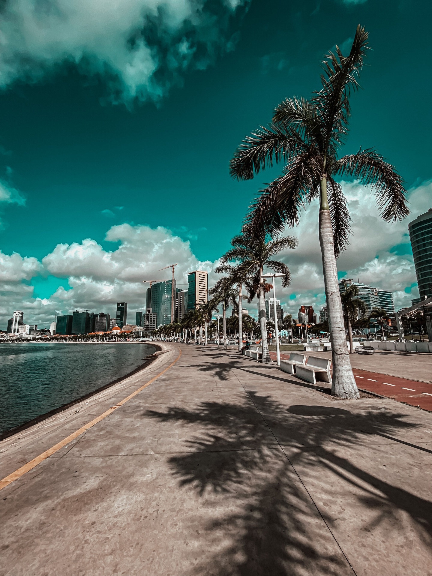 Marginal de Luanda, com palmeiras, ciclovia e o skyline da cidade ao fundo